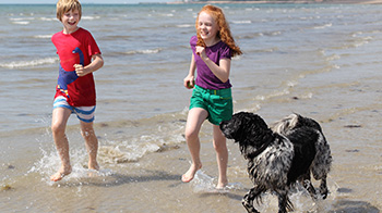 two children and a dog running on the beach