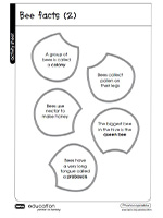 Activity sheet about bees