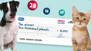 rspca promotional lottery banner image © RSPCA