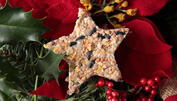 wildlife friendly star-shaped reindeer food tree decoration