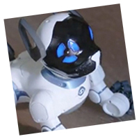 Robot dog