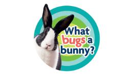 What Bugs a Bunny? © RSPCA
