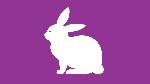 rabbitgraphic