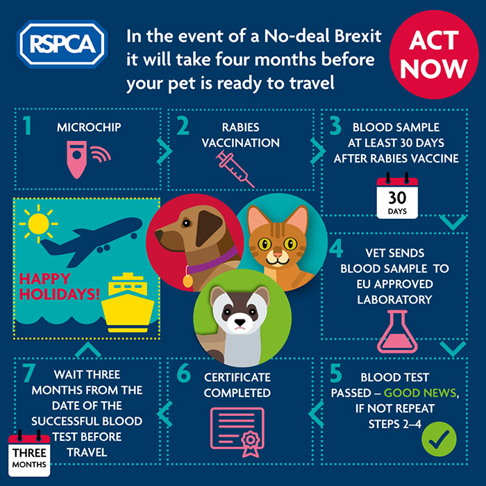 Taking Your Dog On Holiday 2025