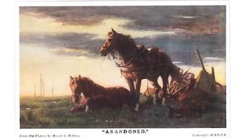 Animals in World War One | RSPCA
