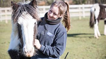 Horse with RSPCA Animal Care Assistant © RSPCA