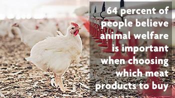 64 percent of people believe animal welfare is important when choosing which meat to buy © RSPCA