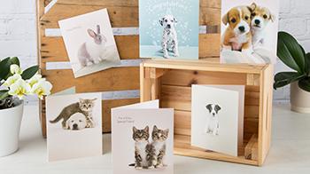 Hallmark cards