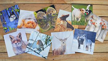 Noel Tatt cards