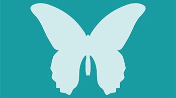 Butterfly icon