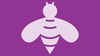 Wasp icon