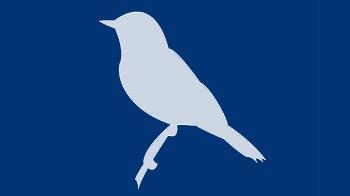 Bird icon