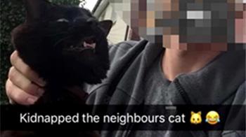 23 percent of kids have seen animal abuse online - RSPCA 23 percent of kids have seen animal abuse online - RSPCA