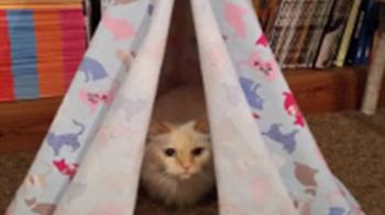 Details Rspca Org Uk