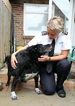 RSPCA inspector outdoors with obese collie with overgrown nails © Becky Murray / RSPCA Photolibrary