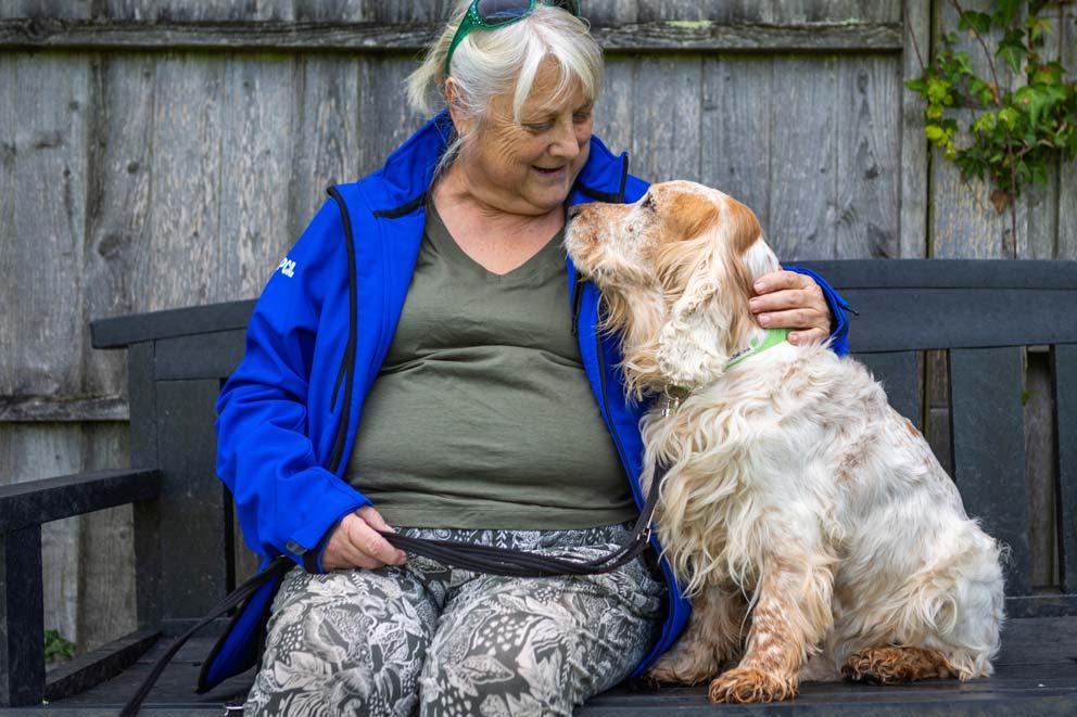 A fourteen-year-old cocker spaniel with his foster carer sitting together on a garden bench.
