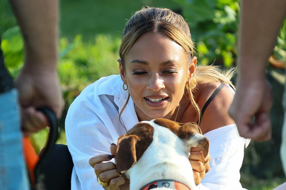 Alesha Dixon giving face tickles to Roy, a brown and white staffy mix dog.