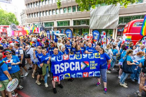 A group of RSPCA colleagues holding For Every Kind Pride flags pose for a group photo while celebrating Pride in London 2025.