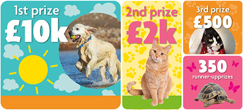 RSPCA charity raffle | RSPCA
