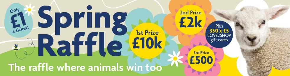 RSPCA charity raffle | RSPCA - RSPCA - rspca.org.uk