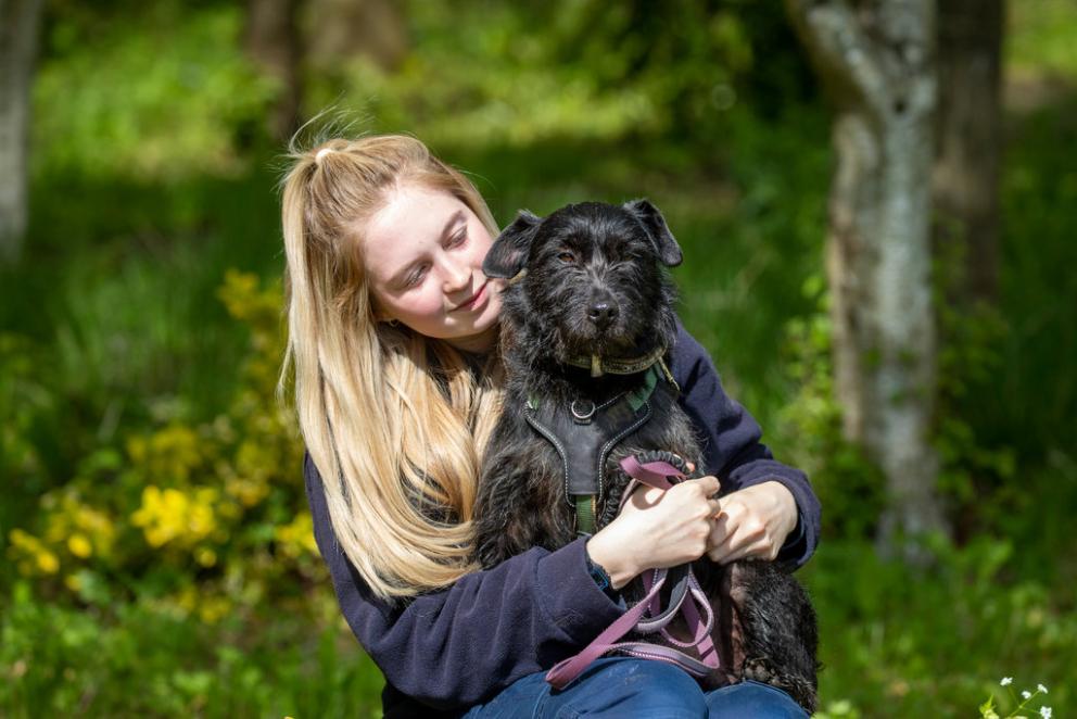 Ways to Donate RSPCA RSPCA