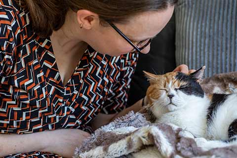 A close-up of a rescued cat being stroked by their new owner