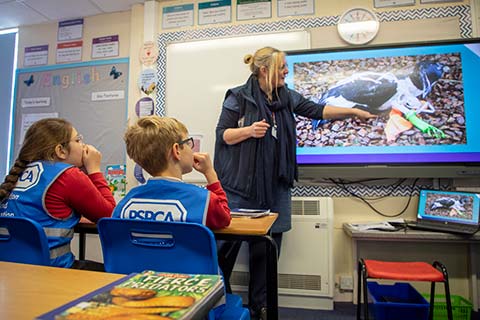 Primary school children learning about the danger of litter and wildlife