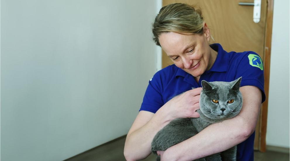 An RSPCA worker in a blue t-shirt looking down at Benito who they are holding in their arms.