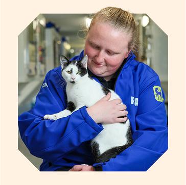 An RSPCA worker wearing a branded blue jacket holding a black and white cat.