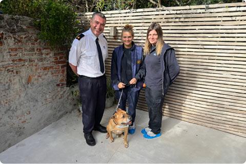 Billy the rescue dog with the RSPCA team