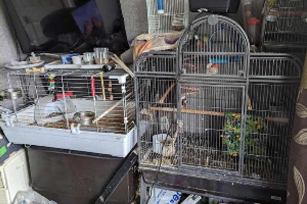 A small animal cage dirty and cluttered positioned in a rubblish-filled room.