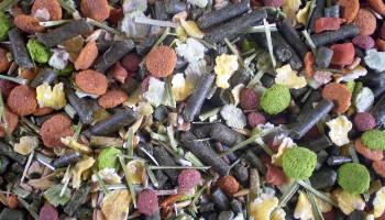 close-up of rabbit muesli ingredients