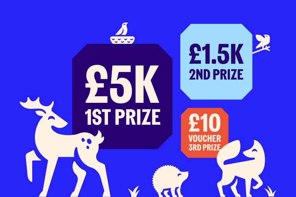 Win | RSPCA - RSPCA - rspca.org.uk