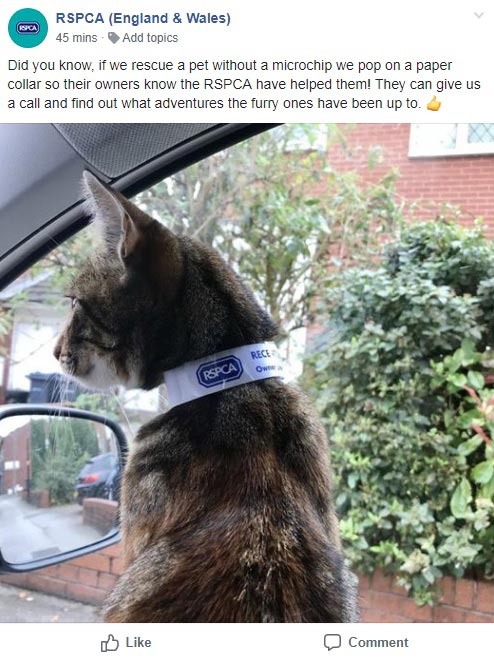 Cat rescue facebook post