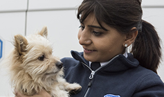 RSPCA Inspector holding a kitten © RSPCA