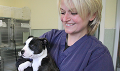 Dog heing held by RSPCA vet nurse © RSPCA
