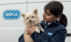Dogs leg being checking by RSPCA staff © RSPCA