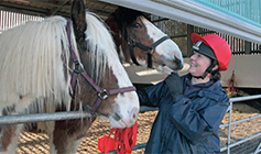Animal Care Assistant with two horses © RSPCA