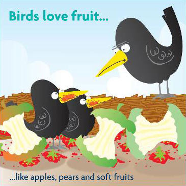 Birds love fruit like apples, pears and soft fruits