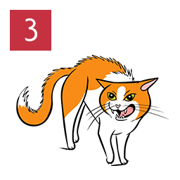 Graphic of cat standing with arched body and hair raised showing teeth angrily © RSPCA