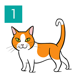 Graphic of cat standing and relaxed with tail curved © RSPCA