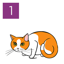 Graphic of cat crouched and tense with lowered body posture © RSPCA