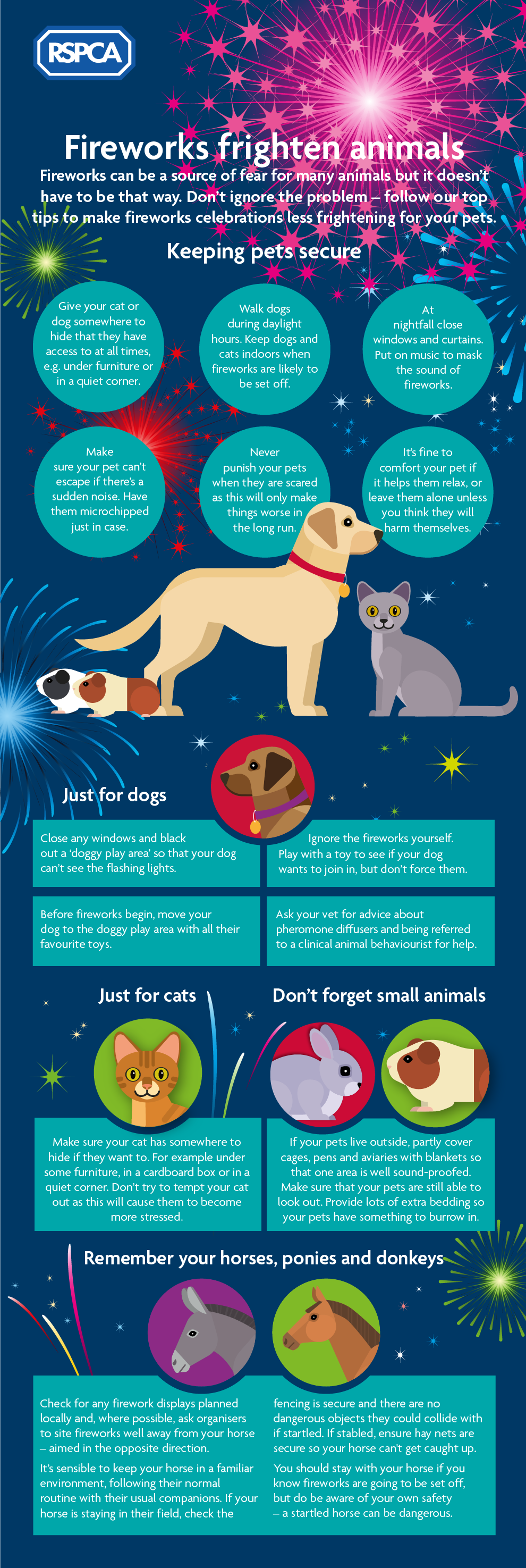 Advice for pet owners during the fireworks season © RSPCA