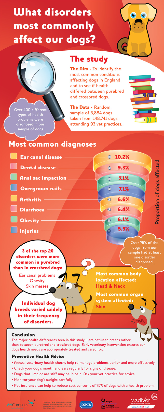 The most common disorders in dogs infographic