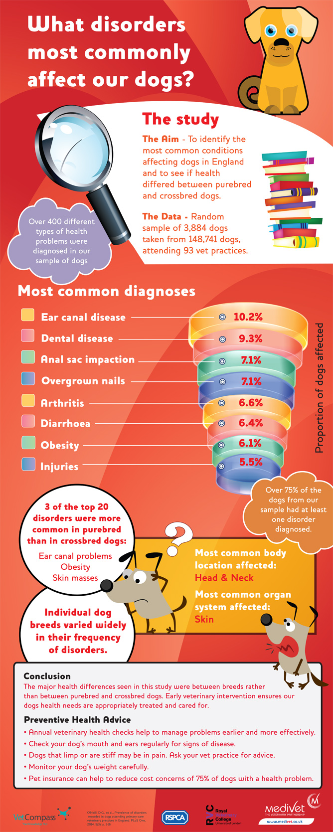 Common Dog Illnesses & Prevention RSPCA