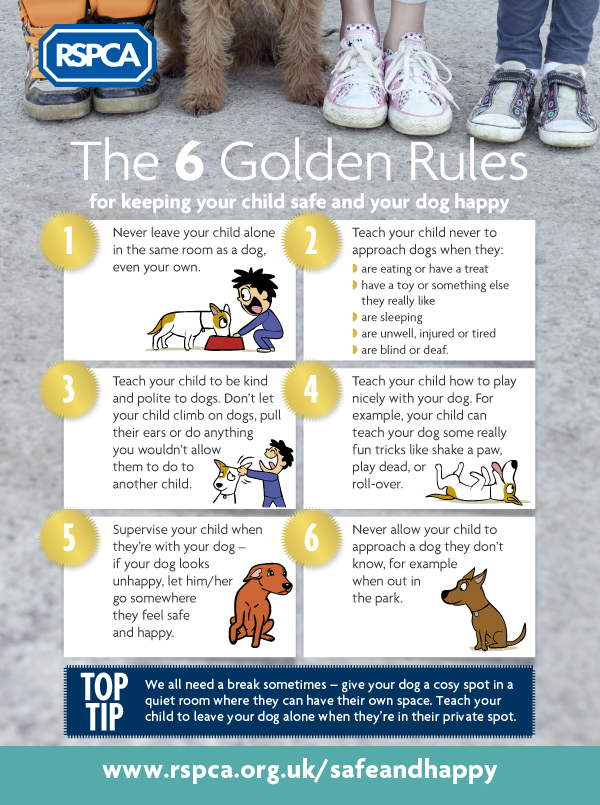 RSPCA The six golden rules to keeping children safe and dogs happy