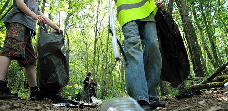 People cleaning a wood