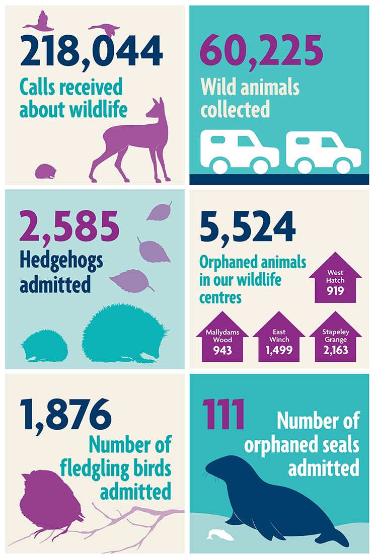 rspcawildlifestats