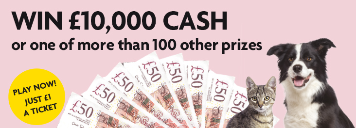 RSPCA Summer Raffle - RSPCA