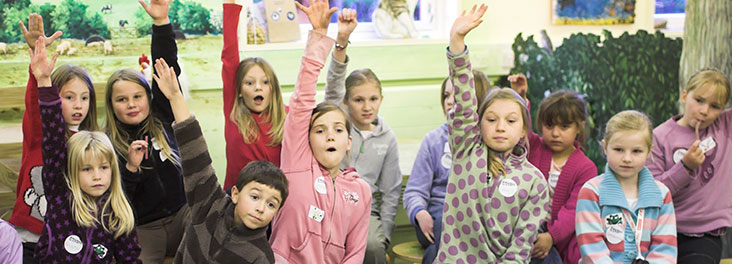 Fundraising Ideas For Schools Rspca